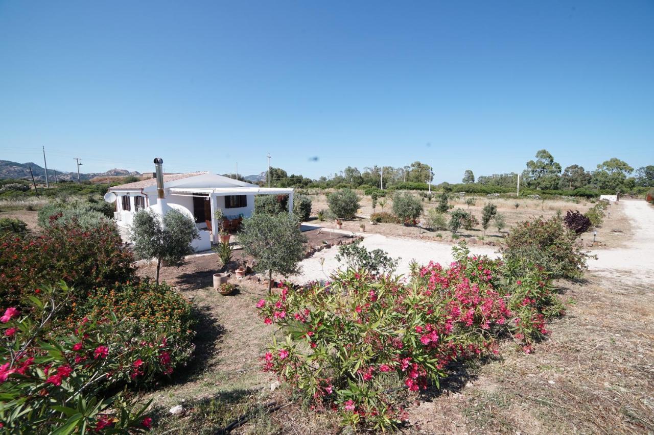 Villa Da Luciana Orosei Exteriér fotografie